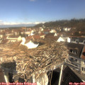 10_25-nest.jpg