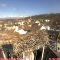 10_30-nest.jpg