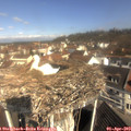 10_35-nest.jpg