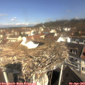 10_40-nest.jpg
