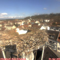 10_45-nest.jpg