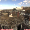 10_55-nest.jpg