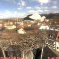11_00-nest.jpg
