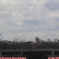11_25-mast.jpg