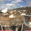 11_55-nest.jpg