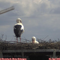 12_25-mast.jpg