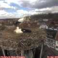 12_25-nest.jpg