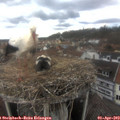 12_35-nest.jpg