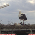 12_45-mast.jpg
