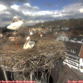 13_25-nest.jpg