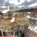 13_45-nest.jpg