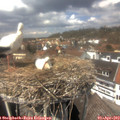 13_55-nest.jpg
