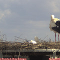14_00-mast.jpg