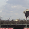 14_05-mast.jpg