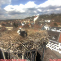 14_15-nest.jpg