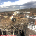 14_20-nest.jpg
