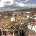 14_30-nest.jpg