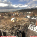 14_35-nest.jpg
