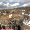 14_40-nest.jpg