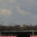 14_45-mast.jpg