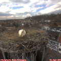 14_45-nest.jpg