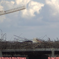 14_55-mast.jpg
