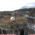 14_55-nest.jpg