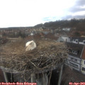 15_00-nest.jpg
