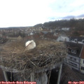 15_05-nest.jpg