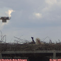 15_10-mast.jpg