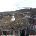 15_10-nest.jpg