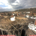 15_40-nest.jpg