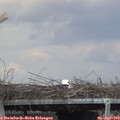 15_45-mast.jpg