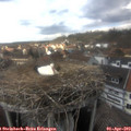 15_45-nest.jpg