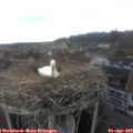 16_00-nest.jpg