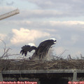 16_55-mast.jpg