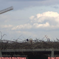 17_05-mast.jpg