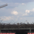 17_10-mast.jpg