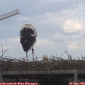 17_15-mast.jpg