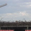 17_20-mast.jpg