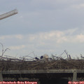 17_25-mast.jpg