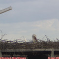 17_30-mast.jpg