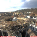 17_35-nest.jpg