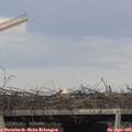 17_40-mast.jpg