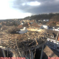 17_45-nest.jpg