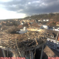 17_50-nest.jpg