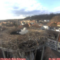 18_05-nest.jpg