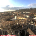 18_10-nest.jpg