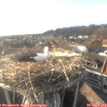 18_15-nest.jpg