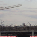 18_35-mast.jpg